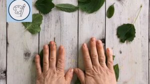 Пальчиковая гимнастика. Листья.