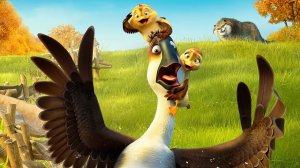 20 лучших фильмов про Куриц