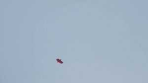 Полёты на модели летающего крыла"Стриж"