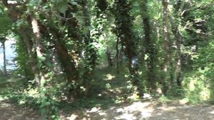 Геленджик.  Автокемпинг Луч. Автокемпинг Нива.