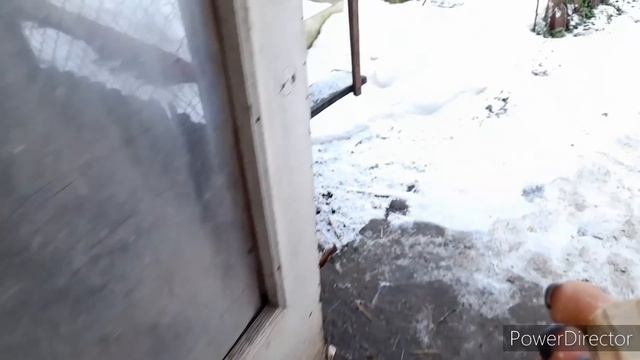 Деревенский Старый Способ для Увеличения Яйценоскости Кур//Странный Снег!//В Деревню!