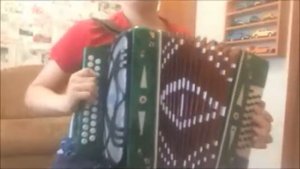 Гармонь шуйская "Чайка"