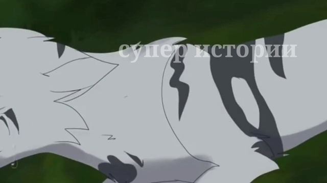 Клип кафель коты воители смотреть онлайн