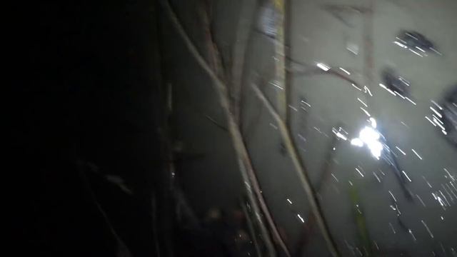 Как по волшебству или бобры на день рожденья смотреть онлайн