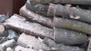 Испытание пильных цепей Stihl, Oregon, Haoyu