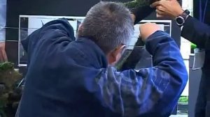 Природный аквариум Такаши Амано