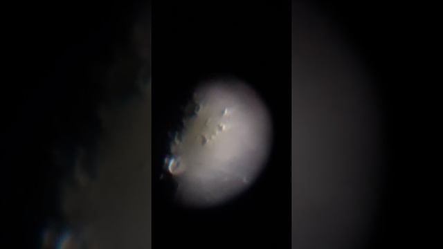 Celestron Astromaster 114 смотреть онлайн