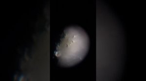 Celestron Astromaster 114