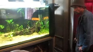 Самодельный фильтр для аквариума на 840 литров.