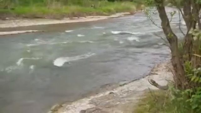 Поздравление с днём рождения смотреть онлайн