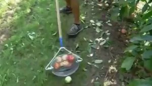 Ролл подборщик для фундука, орехов, яблок, грецких