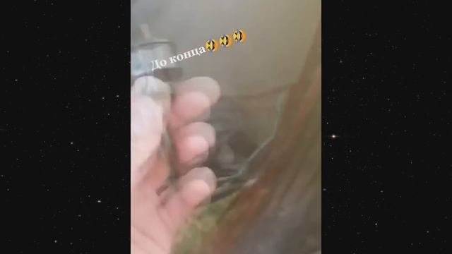 Смешные видео Лучшие Лютые ПРИКОЛЫ