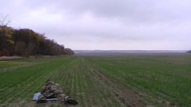 Вепрь 223 на 200 метров.
