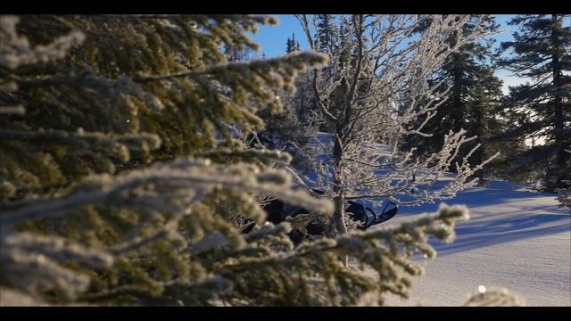 VK PROFESSIONAL II EPS/RS Viking смотреть онлайн