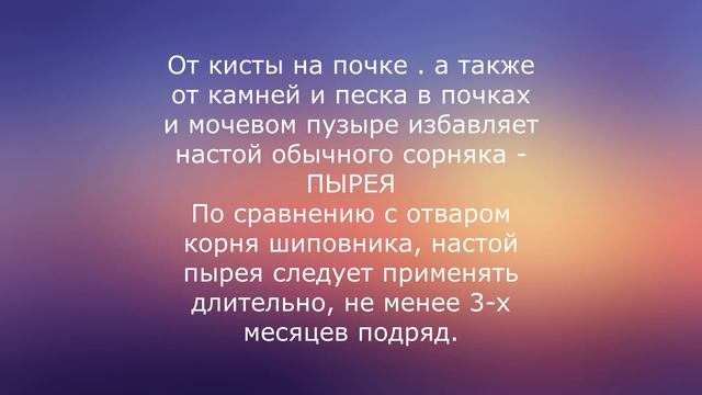 Лечение почек травами. смотреть онлайн