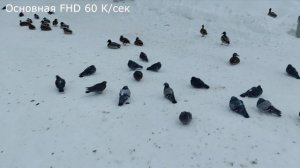 Poco X6 5G - обзор