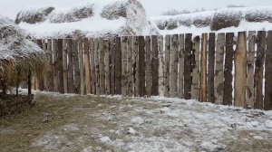 Откорм телят с 6 мес до 1 года №4