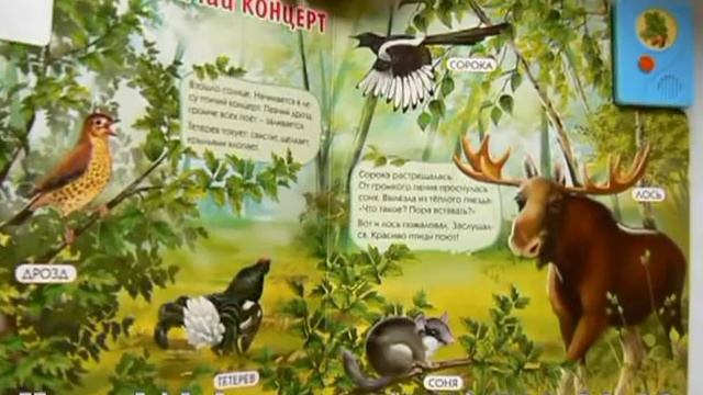 Кто живет в лесу? изд. Азбукварик