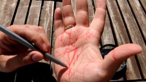 Линия миллионера. Хиромантия. Знаки Богатства и славы