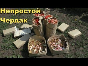 САМЫЙ БОЛЬШОЙ КЛАД ЭТОГО ГОДА НА ЧЕРДАКЕ ДОМА