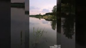 Рыбалка на малом водоёме в Кокино.  30.05.19