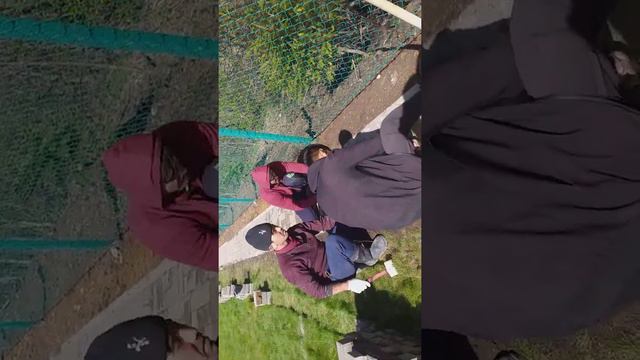 Усталар питир смотреть онлайн