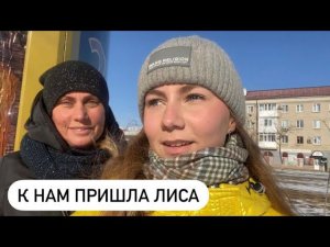 ПЕРВЫЙ СНЕГ НА горе МАШУК / Пятигорск❄️