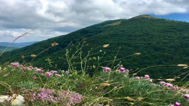 Юлия Лагун. Твоя истинная позиция. смотреть онлайн