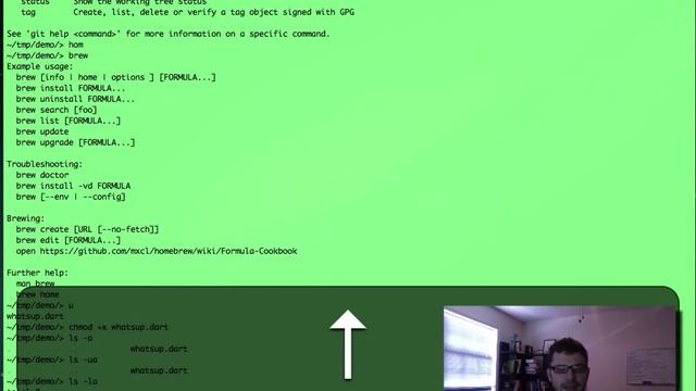Dart in the Shell, Part 1 (2013) смотреть онлайн