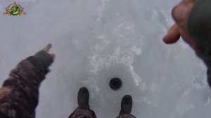 Зимняя рыбалка.ПОКЛЕВКИ СУДАКА.Подледный " ВЕРТИКАЛЬНЫЙ ДЖИГ ".