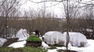 Саджичи  блюдо из баранины Азербайджанская Кухня Деревенская Кухня  Рецепты