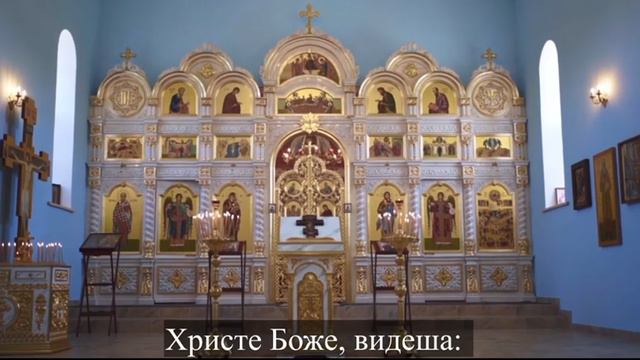 С Преображением Господним! С Яблочным Спасом, дорогие братья и сестры!