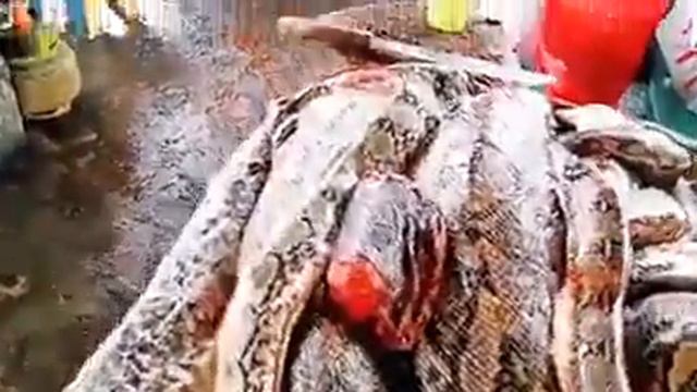 Китайский рынок, откуда взялся вирус !!! смотреть онлайн