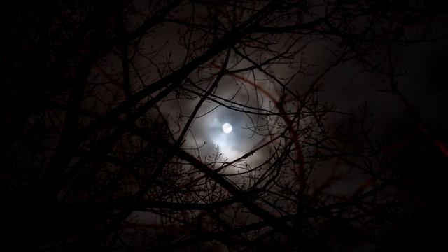 Мертвые Младенцы смотреть онлайн