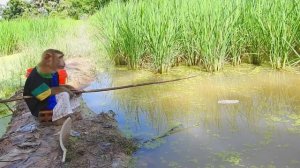 Amazing SokYaa Is Fishing Alone, How SokYaa Trap Fish