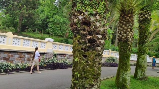 Сочи. Дендрарий. Часть 1. Sochi. Arboretum. Part 1 смотреть онлайн