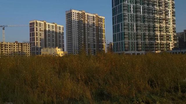 Балтийская Жемчужина [2020]