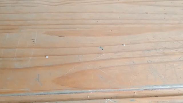 Все мои питомцы смотреть онлайн