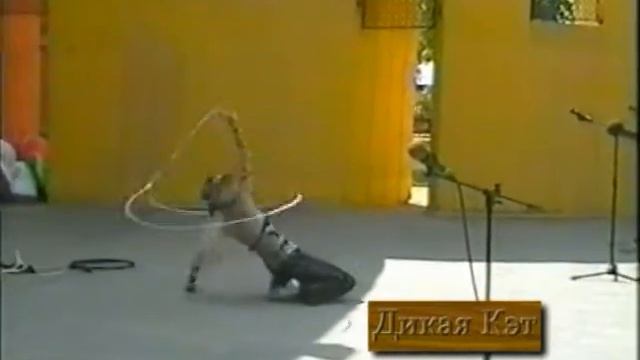 Лассо Ковбойские страсти DivX смотреть онлайн