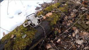 Капкан BRIDGER #2 DOGLESS. Охота на лису (Будни охотника и рыбака)