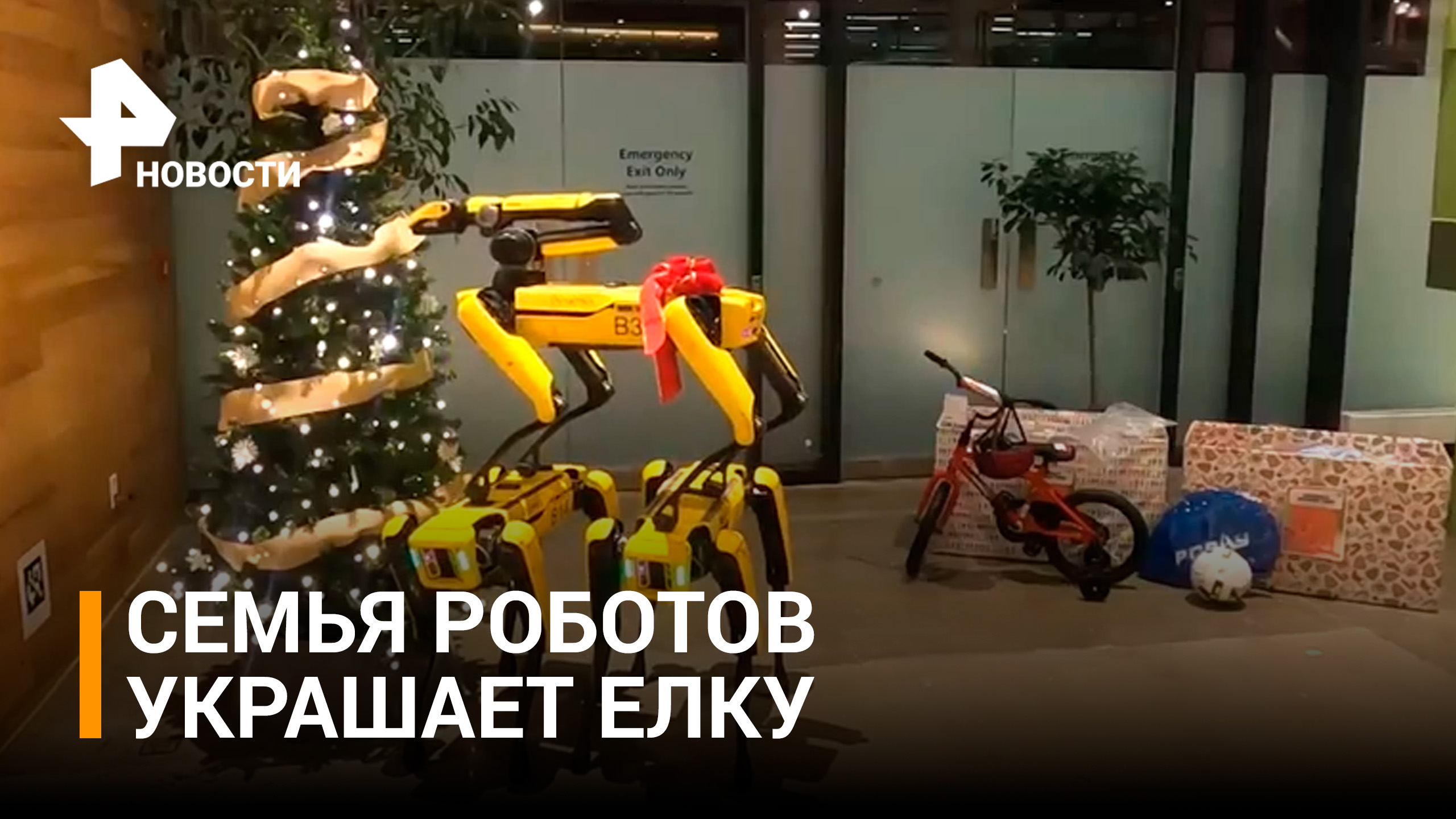 Неуклюжие роботы пытаются повесить украшение на елку / РЕН Новости