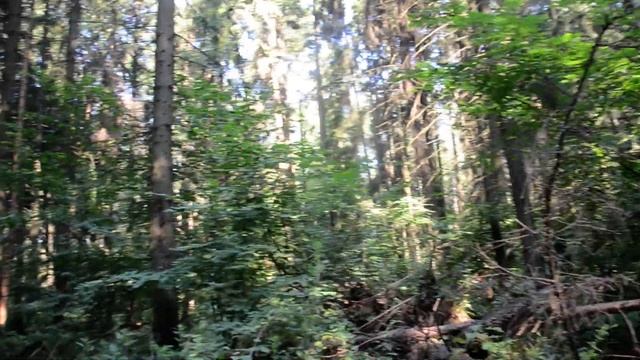 Документы на пересечение границы, Украина Россия смотреть онлайн