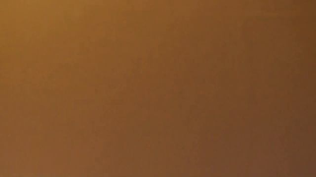 праздник ПРОФЕССИЙ школа Марьина роща НОЯБРЬ 2017 смотреть онлайн