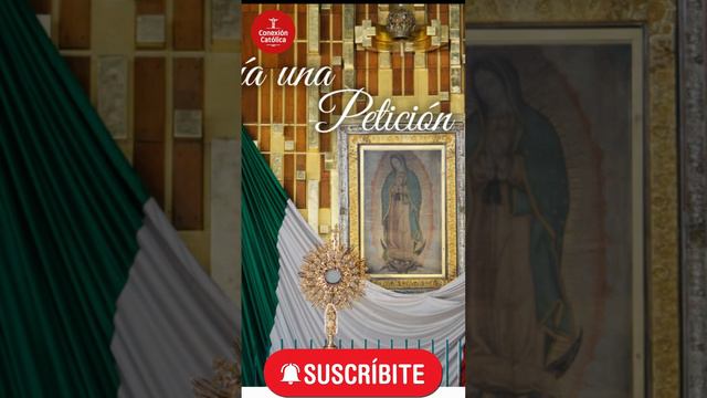 PAPA FRANCISCO, MEXICO, DIOS TE VA AYUDAR