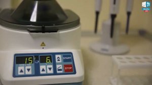 Эксперимент с кровью