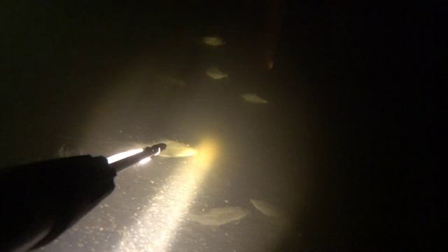 подводная охота. много огромного окуня. маныч, веселовское водохранилище смотреть онлайн