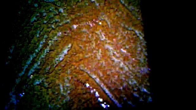 Виниловые обои смотреть онлайн