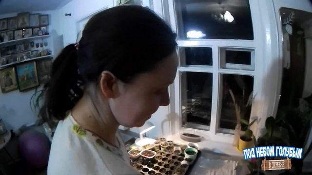 ИНКУБАЦИЯ ИНДЮКОВ // УЛЬИ ДЛЯ ПЧЕЛ