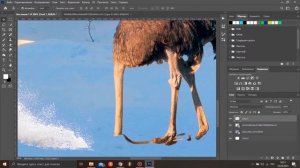 КАК СОЗДАТЬ КАРТИНКУ В ADOBE PHOTOSHOP CC 2021 "СТРАУС В СНЕГУ"