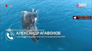 Кит проглотил дайвера и выплюнул живым. Необычная история от жителя США